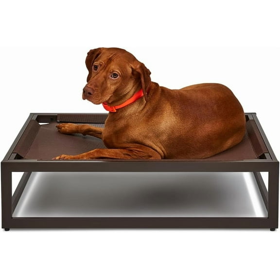 FUZI Luxury Up Pup Elevated Dog Bed, Indoor & Outdoor Raised Pet Bed, Chew-Proof & Durable, Breathable Design for Comfort & Support, Dog Cot Medium 32x24x8 Dark Brown