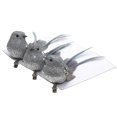 thumbnail image 1 of 3 Pack Assorted Clip On Birds (Silver) - Set of 6, 1 of 1