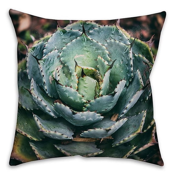 Creative Products Solitary Succulent 16x16 Throw Pillow