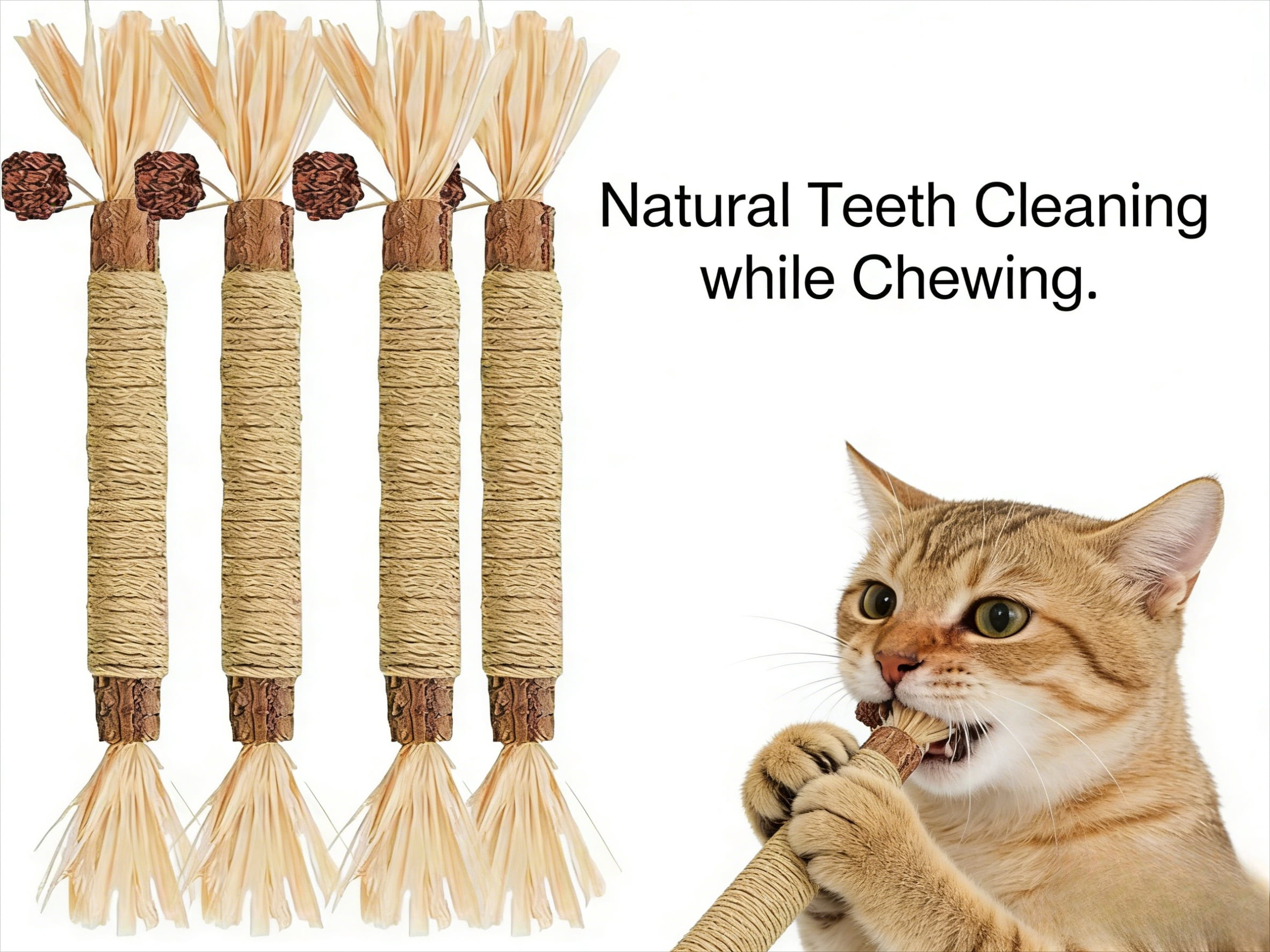 Natural Silvervine Dental Sticks for Cats 4 Pack, Cat Chew Toy Set for Teeth Cleaning and Play, Indoor Cats Dental Care Treat