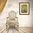 thumbnail image 3 of Drost, David 15x18 Gold Ornate Wood Framed with Double Matting Museum Art Print Titled - Yellow Woods V, 3 of 4