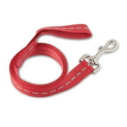 Vibrant Life Solid Nylon Dog Leash, Red, Large, 6 feet