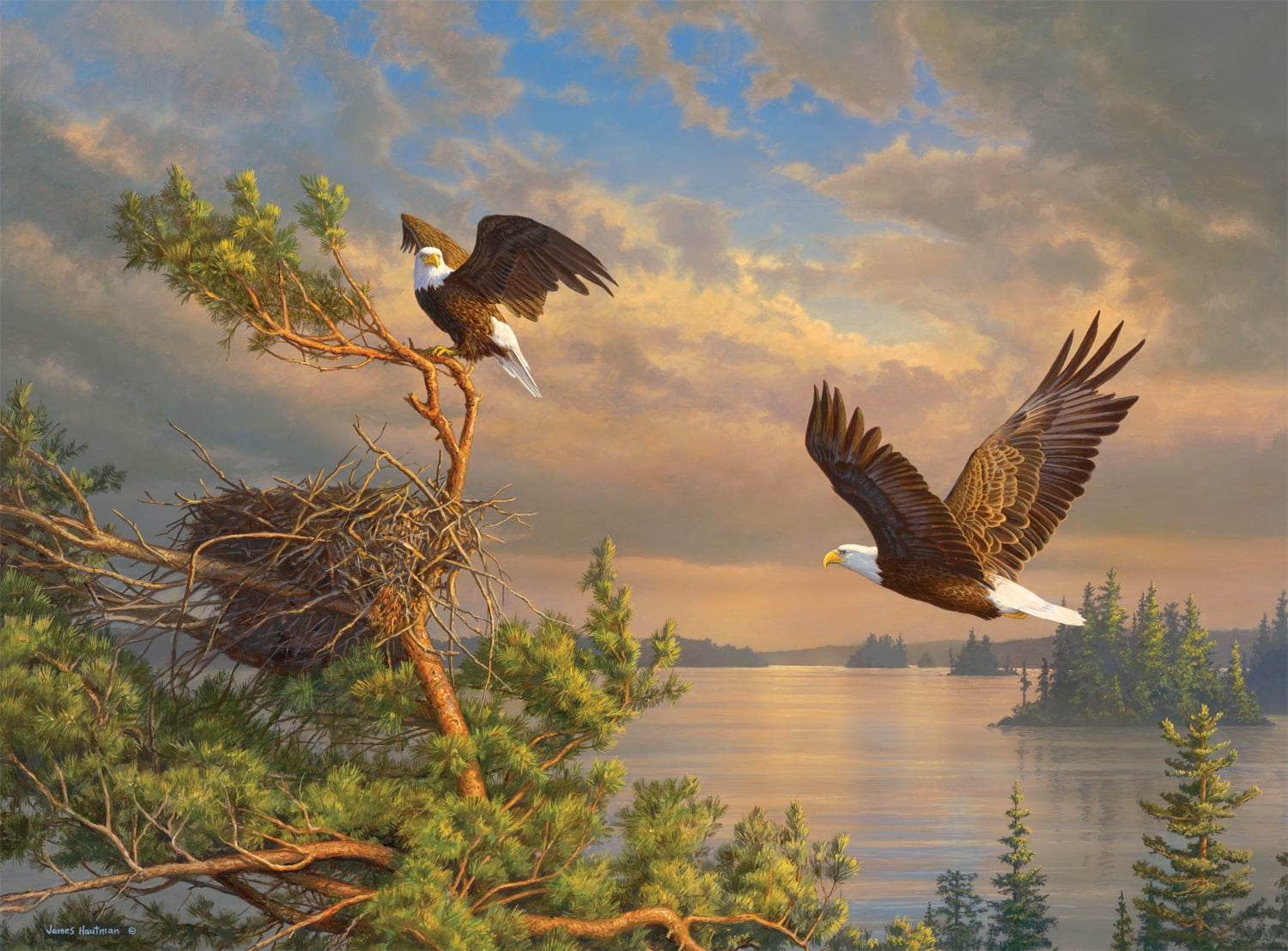 Buffalo Games 1000-Piece Hautman Brothers Back To The Nest Interlocking Jigsaw Puzzle