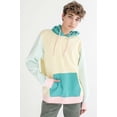 thumbnail image 2 of Ragstock Pastel Spring Color Block Hoodie, 2 of 4