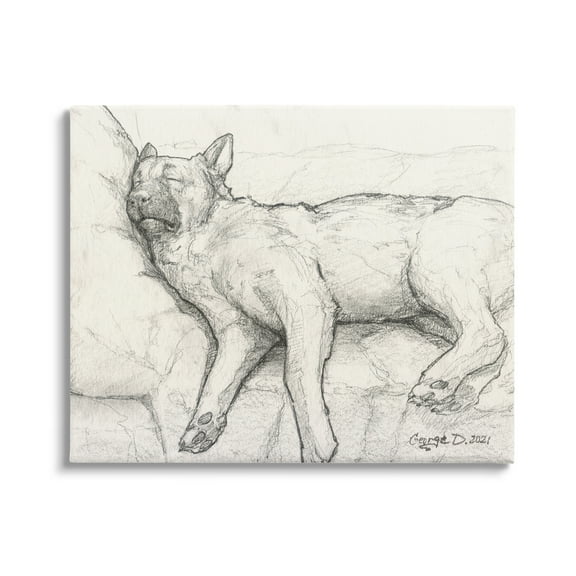 Stupell Industries Tired Dog Sleeping Intricate Graphite Pencil Sketch Drawing Print Gallery Wrapped Canvas Print Wall Art, Design by George Dyachenko