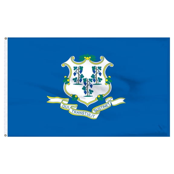 Connecticut 3x5ft Nylon Flag with Pole Hem Only - Banner