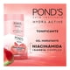 thumbnail image 5 of Gel Hidratante Facial Pond's Hydra Active Tonificante Sandía Complex, 110 g, 5 of 8