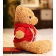 thumbnail image 3 of Color Suéter Oso Muñeca Vestir Oso de Peluche Peluche Oso Muñeca Ragdoll Actividad Regalo (rojo30cm) Rojo Verde Cocina, Decoración y Otros, 3 of 3