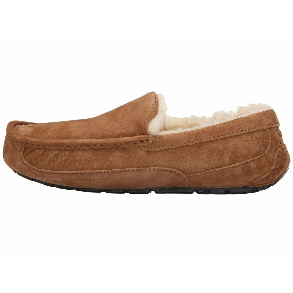flats with bows on the back