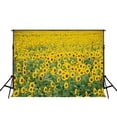 thumbnail image 2 of Fondo de fotografía de 150x220cm ABPHQTO flores de girasol, 2 of 3