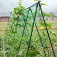 thumbnail image 2 of Heavy Duty Net Pestcontrol Petunia Climbing Fruit Vines Plant Trellis Netting Scaffolding 2 Pieces, 2 of 6