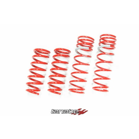 Tanabe Df210 Lowering Springs - Tanabe DF210 Springs for 04-08 Acura TL - TDF141