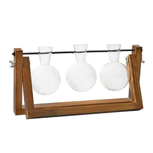 Terrario de vidrio con soporte de madera para macetas de aire, bonito globo para el hogar. como se describe