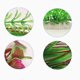 thumbnail image 3 of Simulación de decoración de acuario, pecera, plantas acuáticas falsas, adornos de algas marinas de plástico acuático (rojo vino) ER, 3 of 4