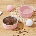 thumbnail image 5 of Dog Bowls Cat Bowls Pet Bowls Slow Feeder Anti Choke Spill Proof Non Slip Plastic Dog Food Bowl Cat Food Bowl for Small Large Dogs Cats Indoor by PALIFEUR, 5 of 7