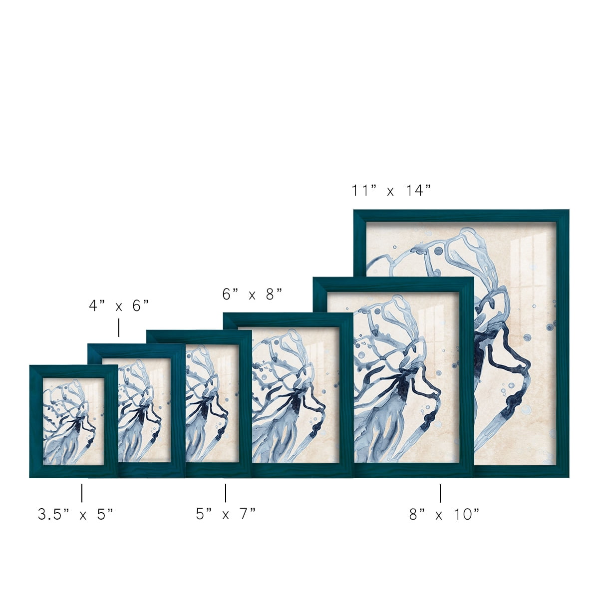 Water Shells I - Framed Print w/glass - Ocean Blue