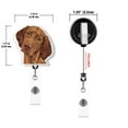 thumbnail image 4 of WIRESTER Set 2pcs Design Acrylic Key Card Holder Belt Clip Reel Id Badge Retractable - German Shorthaired Pointer, Golden Rust Vizslas Dogs, 4 of 6