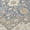 Ivory, variant on Addison Rugs Chantille Indoor/Outdoor Traditional Aloe Machine Washable Rectangle Rug, 10' x 14'