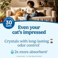 thumbnail image 4 of Fresh Step Crystal Litter Clean Care with Febreze Freshness, 8 lb, 4 of 16
