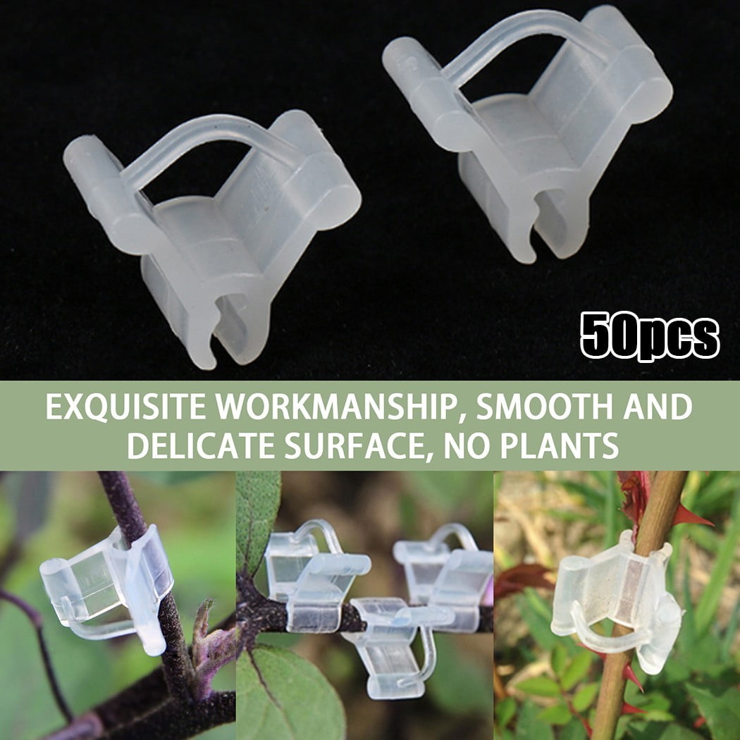Details about   50Pcs Plant Grafting Clip Plastic Gardening Tool for Vegetable Flower YA 