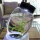 thumbnail image 4 of 2026 19x8.2cm/7.48x3.23in Closed Aquatic Ecosystem Simple Transparent Design, 4 of 5