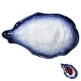 thumbnail image 3 of Oyster Shell Design Plate Irregular Shape Plate Western Plate Fruit Plate Salad Plate, 3 of 6