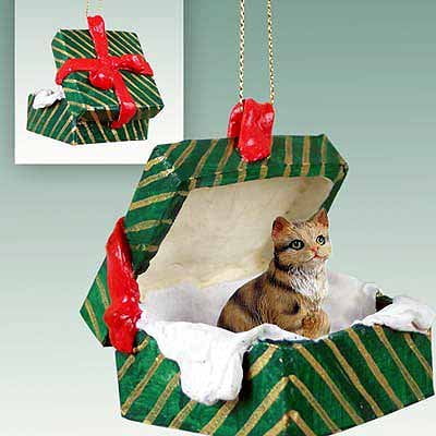 Brown Tabby Scottish Fold Gift Box Green Ornament