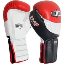Ringside Coach Spar Boxing 14 oz Punch Mitts