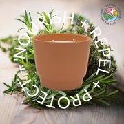 Citronella Shield - Soy Candle 10oz 1 Pack, Best Bee Brothers