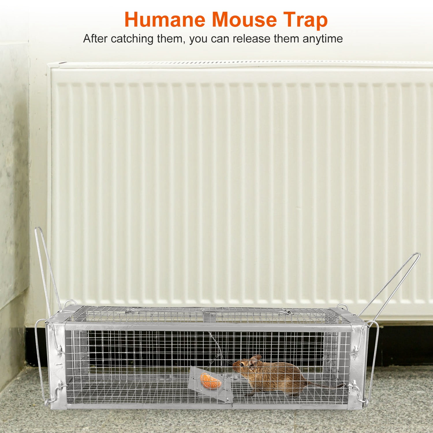 KOCASO Live Animal Trap Cage, Large Foldable Heavy Duty Humane Rat Trap for  Indoor and Outdoor, Metal Mouse Trap for Squirrel Gopher Chipmunk Mice