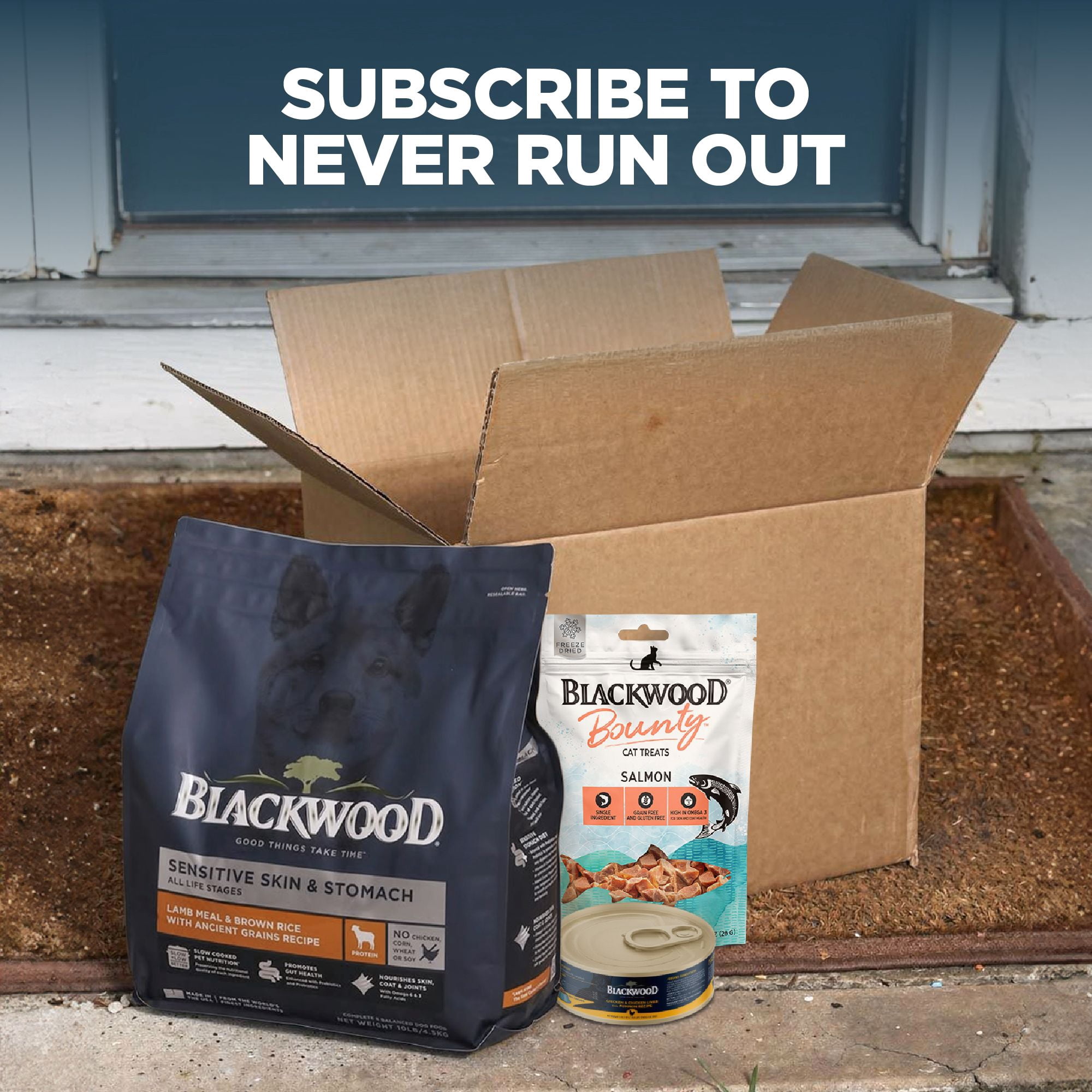 Blackwood Grain-Free Chicken & Chicken Liver with Pumpkin Wet Dog Food, 13 oz (12 Pack)
