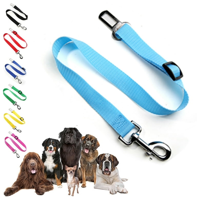 Easy dog sale seat belt