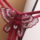 thumbnail image 4 of Ropa interior de encaje sexy para mujer Lencería Tangas Bragas Ropa interior para mujer Calzoncillos Fridja nalpqowj47794, 4 of 5