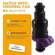 thumbnail image 5 of 4 Pcs Fuel Injector 7700874112 8200603801 for Renault Clio Kangoo Twingo 1.2 Auto Parts 873774 15117801 7700873774 81213, 5 of 5