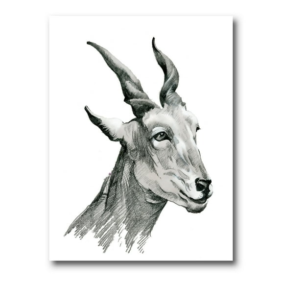 Designart ' Black and White Portrait Of Goat I ' Farmhouse Canvas Wall Art Print