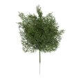 thumbnail image 1 of (1 stick) Simulation small cypress tree Christmas decoration background wall hanging pine tree 31x20cm, 53g, plastic, 1 of 11