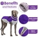 thumbnail image 3 of Abrigo para perros AOFITEE, impermeable, reflectante, de invierno, morado, para perros, 3 of 6