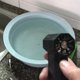 thumbnail image 4 of Ventilador de Chorro con Motor Sin Escobillas de Alta Potencia y Mini Colector de Polvo, Color Gris, 4 of 9
