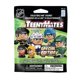thumbnail image 1 of Figure Teenymates, serie NHL, 9 unidades, animal de fiesta, 1 of 1