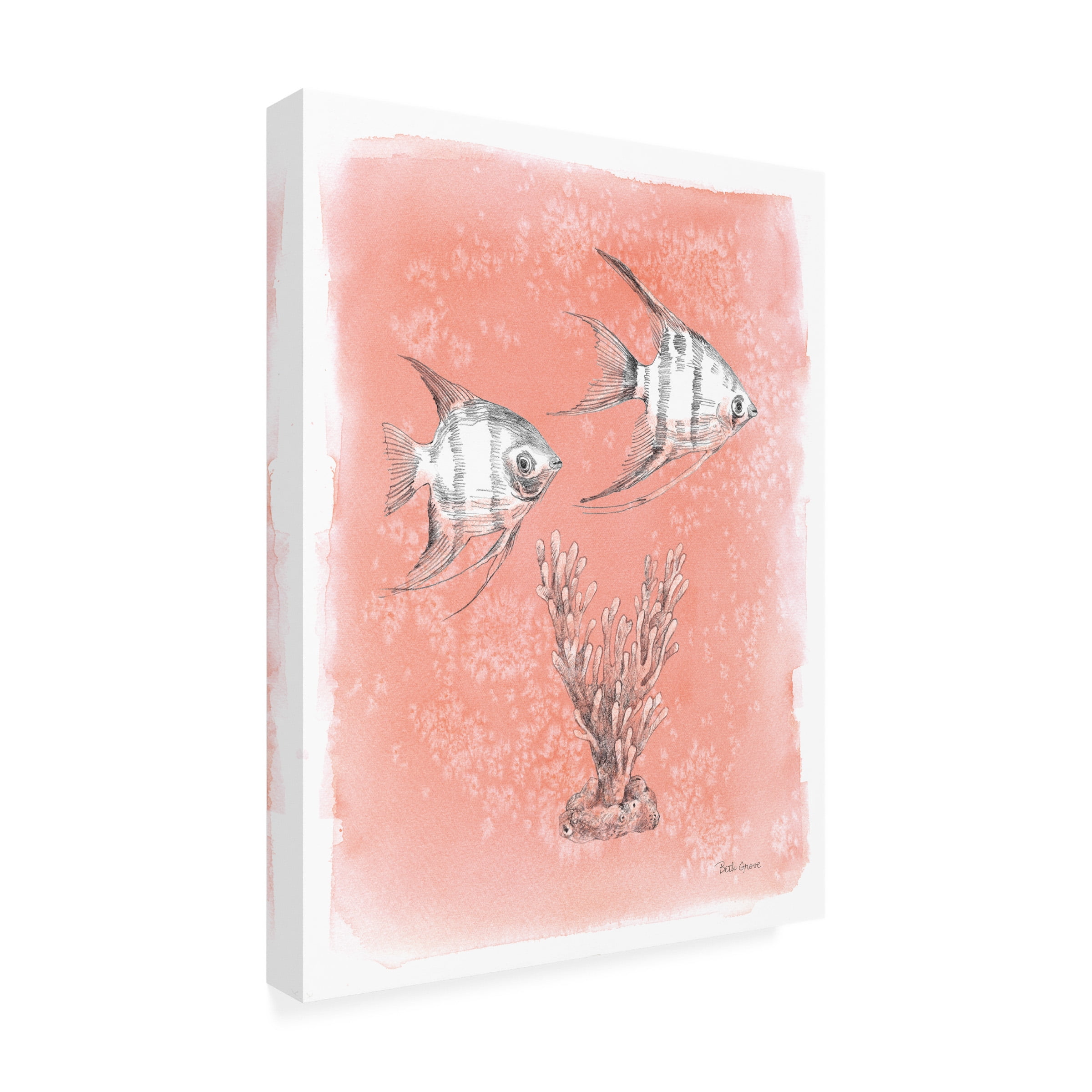 Beth Grove 'Coastal Sea Life III' Canvas Art