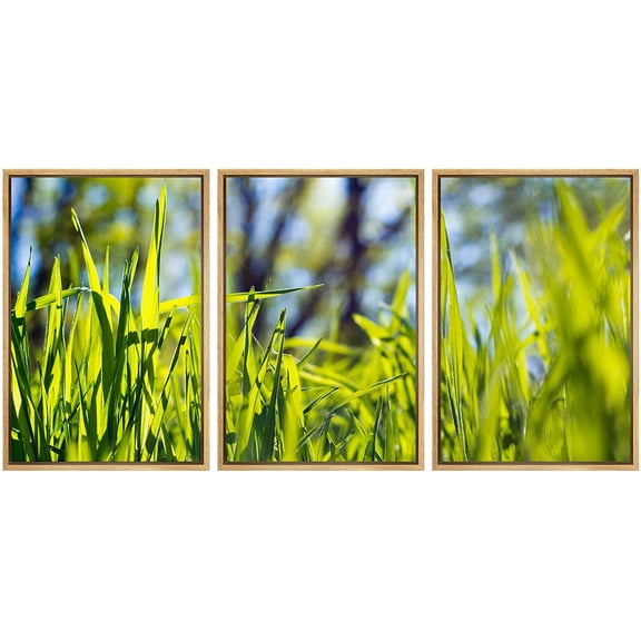wall26 Framed Canvas Print Wall Art Set Blades of Grass on Spring Morning Nature Wilderness Photography Realism Rustic Scenic Colorful Multicolor for Living Room, Bedroom, Office - 16"x24"x