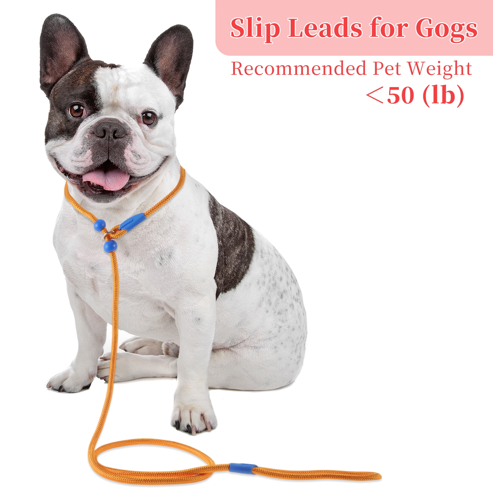 Unique Bargains Slip Leash for Dogs No Pull Heavy Duty Training Leash Medium Orange 5ft