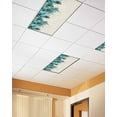 thumbnail image 2 of Fluorescent Light Covers for Ceiling Lights 1 Pack, Teal Feather Magnetic Ceiling Light Covers 2x4 Feet for Classroom Office School, Farmhouse Feather Art Teal Ombre Overhead Drop Ceiling Light Shade, 2 of 7