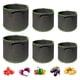 thumbnail image 2 of Cultivo De Patatas, Jardinera De Patatas No Tejida, Bolsas Para Plantar Verduras Para El Hogar, Balcón, Jardín, Zanahorias, Tomates Y Verduras Speravity HA042511-03, 2 of 6