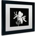 thumbnail image 2 of Trademark Fine Art 'Magnolia Flower' Canvas Art by Pierre Leclerc, White Matte, Black Frame, 2 of 4