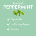 thumbnail image 3 of Aceite esencial Revive Peppermint 30 ml 100% puro terapéutico, 3 of 7
