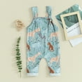 thumbnail image 2 of Bagilaanoe Newborn Baby Girl Boy Jumpsuit Sleeveless Cartoon Print Romper Overalls 6M 12M 18M 24M Infant Long Pants Spring Clothes, 2 of 6
