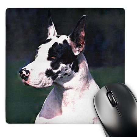 3dRose  Great Dane  MousePad price history on PriceWatchPro