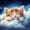 Colorful 13, variant on jejeloiu Vintage Watercolor Glass Full Size Sheets Kids,Black Cat Kitten Print Bed Sheets,4pcs