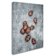 thumbnail image 2 of Trademark Fine Art 'Jerusalem Artichokes' Canvas Art by Johanna, 2 of 3